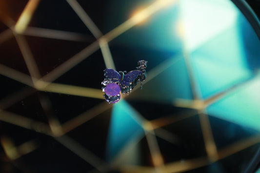 The Cosmic Papillon Set
