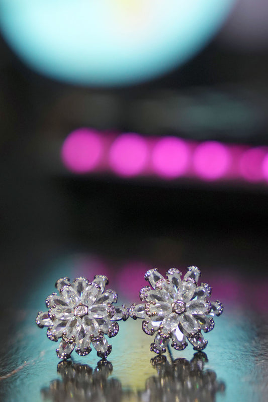 The Ice Velvet Bloom Set